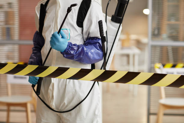 Professional Sewage Cleanup technician working in Wadsworth, OH